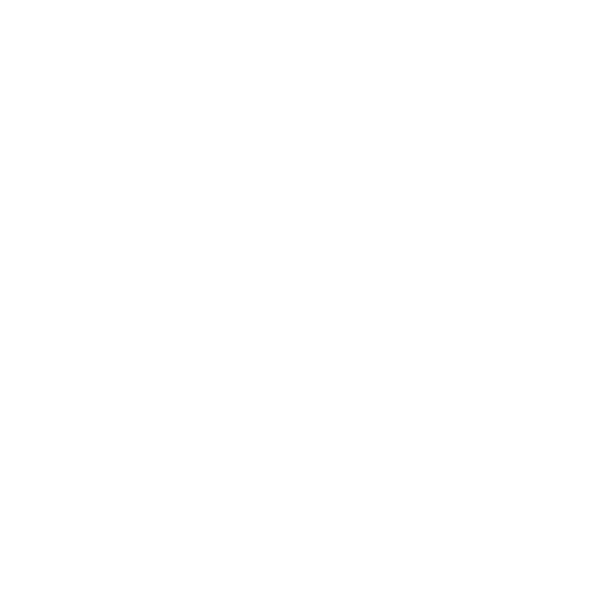 Ari Jewellery logo